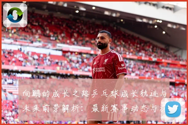 向鹏的成长之路乒乓球成长轨迹与未来前景解析：最新赛事动态与深度分析